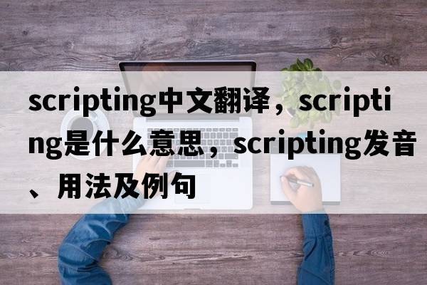 scripting中文翻譯，scripting是什么意思，scripting發(fā)音、用法及例句