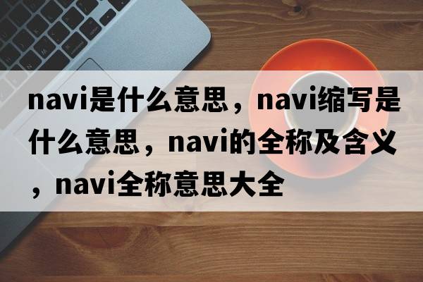 navi是什么意思，navi縮寫(xiě)是什么意思，navi的全稱(chēng)及含義，navi全稱(chēng)意思大全