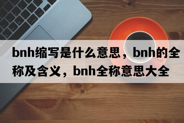 bnh縮寫(xiě)是什么意思，bnh的全稱(chēng)及含義，bnh全稱(chēng)意思大全
