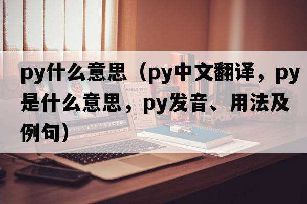 py什么意思（py中文翻譯，py是什么意思，py發(fā)音、用法及例句）