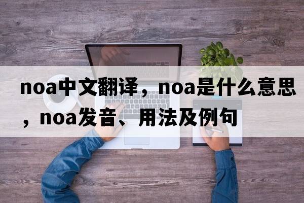 noa中文翻譯，noa是什么意思，noa發(fā)音、用法及例句