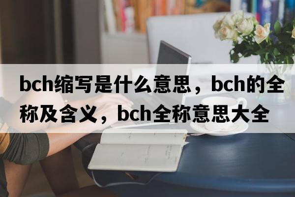 bch縮寫(xiě)是什么意思，bch的全稱(chēng)及含義，bch全稱(chēng)意思大全