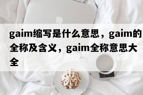 gaim縮寫(xiě)是什么意思，gaim的全稱(chēng)及含義，gaim全稱(chēng)意思大全