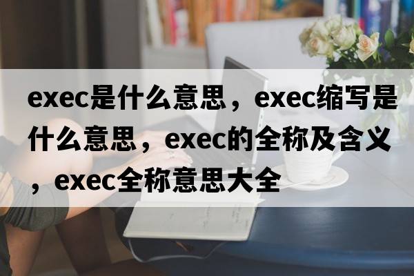 exec是什么意思，exec縮寫(xiě)是什么意思，exec的全稱(chēng)及含義，exec全稱(chēng)意思大全