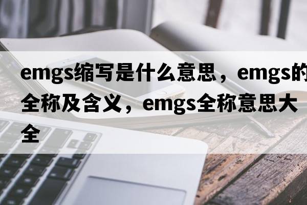 emgs縮寫(xiě)是什么意思，emgs的全稱(chēng)及含義，emgs全稱(chēng)意思大全
