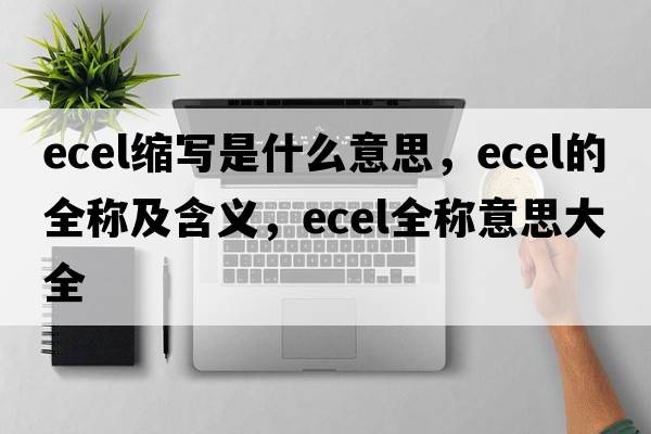 ecel縮寫(xiě)是什么意思，ecel的全稱(chēng)及含義，ecel全稱(chēng)意思大全