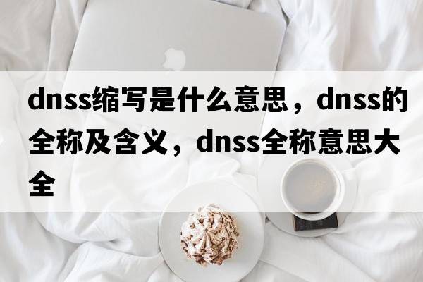 dnss縮寫(xiě)是什么意思，dnss的全稱(chēng)及含義，dnss全稱(chēng)意思大全
