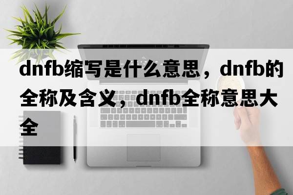dnfb縮寫(xiě)是什么意思，dnfb的全稱(chēng)及含義，dnfb全稱(chēng)意思大全