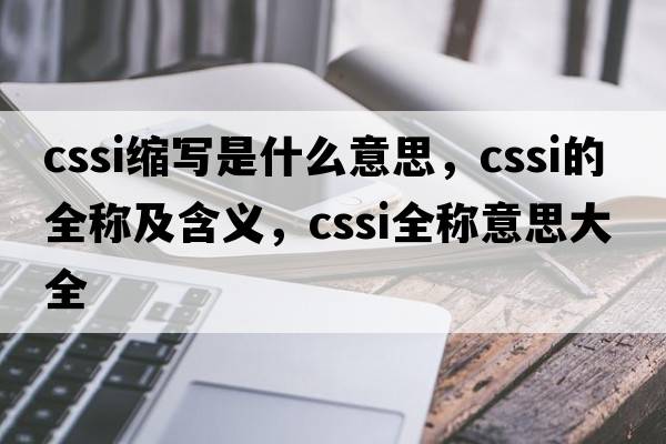 cssi縮寫(xiě)是什么意思，cssi的全稱(chēng)及含義，cssi全稱(chēng)意思大全