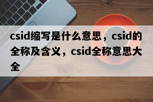 csid縮寫(xiě)是什么意思，csid的全稱(chēng)及含義，csid全稱(chēng)意思大全