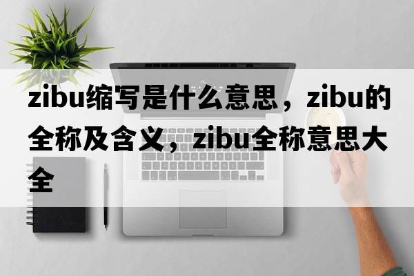 zibu縮寫(xiě)是什么意思，zibu的全稱(chēng)及含義，zibu全稱(chēng)意思大全