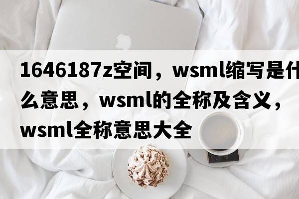 1646187Z空間，wsml縮寫(xiě)是什么意思，wsml的全稱(chēng)及含義，wsml全稱(chēng)意思大全
