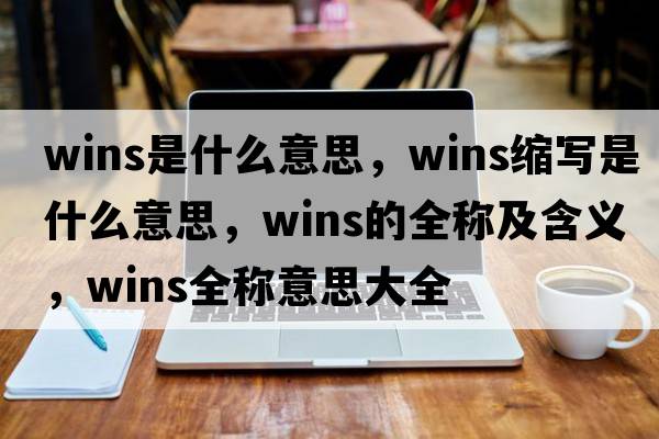 wins是什么意思，wins縮寫(xiě)是什么意思，wins的全稱(chēng)及含義，wins全稱(chēng)意思大全