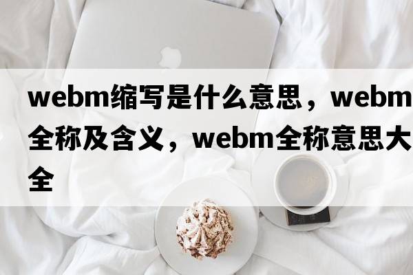 webm縮寫(xiě)是什么意思，webm的全稱(chēng)及含義，webm全稱(chēng)意思大全