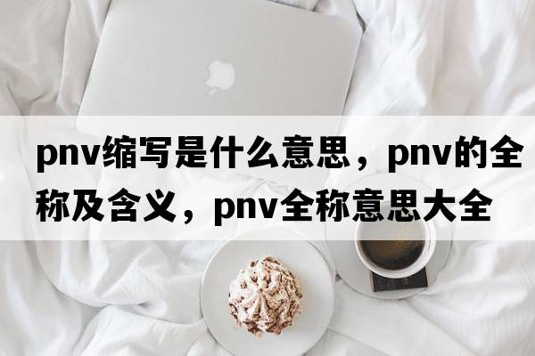 pnv縮寫(xiě)是什么意思，pnv的全稱(chēng)及含義，pnv全稱(chēng)意思大全