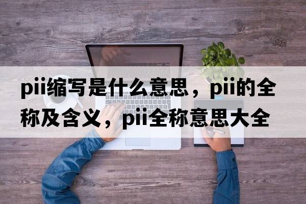 pii縮寫(xiě)是什么意思，pii的全稱(chēng)及含義，pii全稱(chēng)意思大全