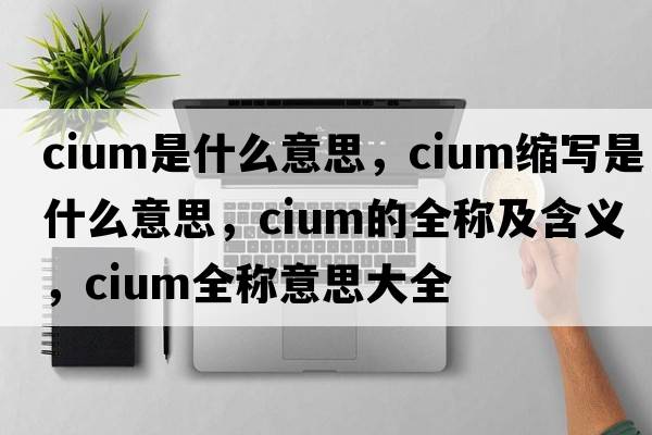 cium是什么意思，cium縮寫(xiě)是什么意思，cium的全稱(chēng)及含義，cium全稱(chēng)意思大全