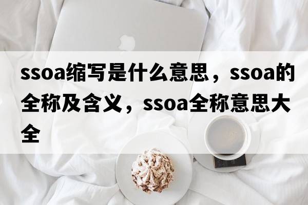 ssoa縮寫(xiě)是什么意思，ssoa的全稱(chēng)及含義，ssoa全稱(chēng)意思大全