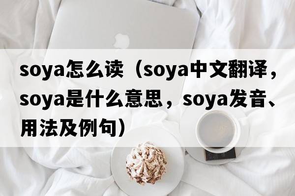 soya怎么讀（soya中文翻譯，soya是什么意思，soya發(fā)音、用法及例句）
