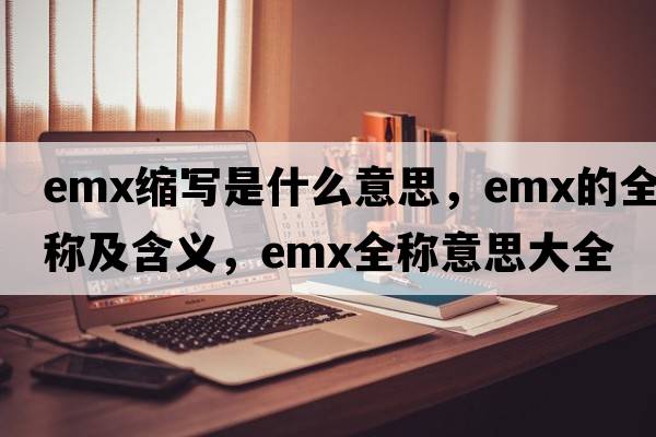 emx縮寫(xiě)是什么意思，emx的全稱(chēng)及含義，emx全稱(chēng)意思大全