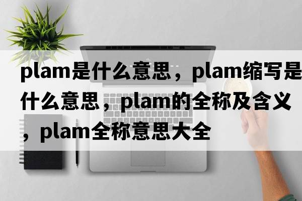 plam是什么意思，plam縮寫(xiě)是什么意思，plam的全稱(chēng)及含義，plam全稱(chēng)意思大全