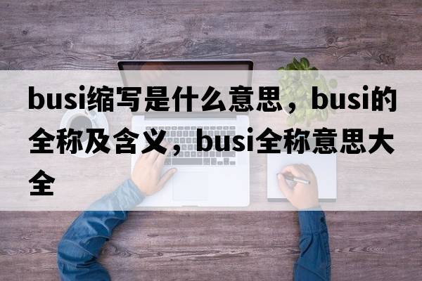 busi縮寫(xiě)是什么意思，busi的全稱(chēng)及含義，busi全稱(chēng)意思大全