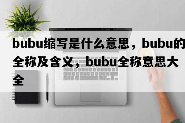 bubu縮寫(xiě)是什么意思，bubu的全稱(chēng)及含義，bubu全稱(chēng)意思大全