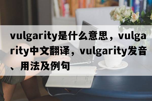 vulgarity是什么意思，vulgarity中文翻譯，vulgarity發(fā)音、用法及例句