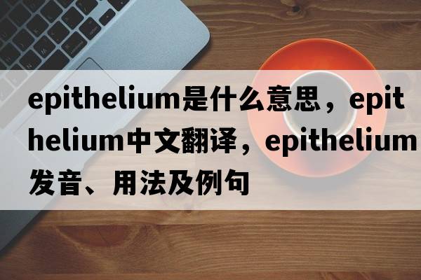 epithelium是什么意思，epithelium中文翻譯，epithelium發(fā)音、用法及例句