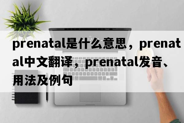 prenatal是什么意思，prenatal中文翻譯，prenatal發(fā)音、用法及例句