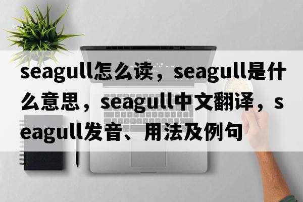 seagull怎么讀，seagull是什么意思，seagull中文翻譯，seagull發(fā)音、用法及例句