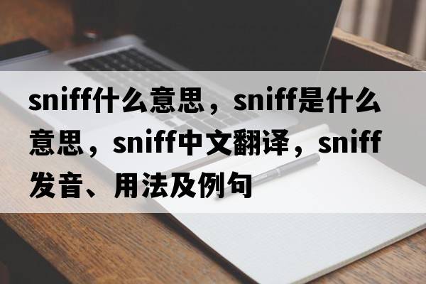sniff什么意思，sniff是什么意思，sniff中文翻譯，sniff發(fā)音、用法及例句