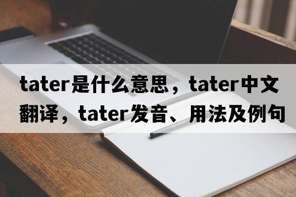 tater是什么意思，tater中文翻譯，tater發(fā)音、用法及例句