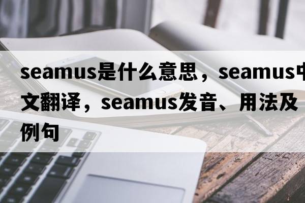 Seamus是什么意思，Seamus中文翻譯，Seamus發(fā)音、用法及例句