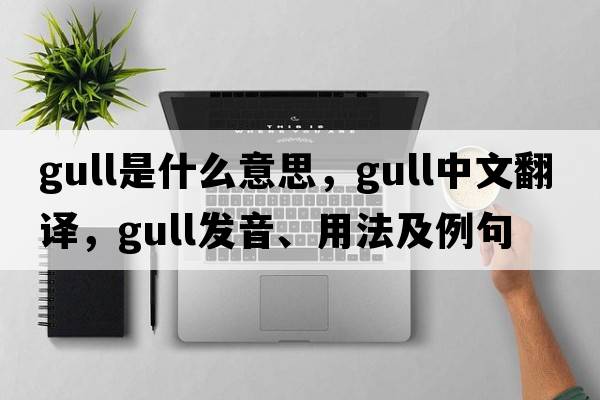 gull是什么意思，gull中文翻譯，gull發(fā)音、用法及例句