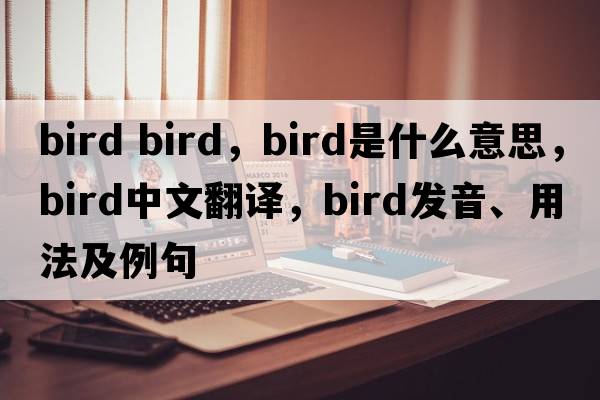 bird bird，bird是什么意思，bird中文翻譯，bird發(fā)音、用法及例句