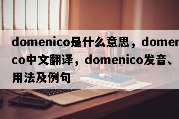 Domenico是什么意思，Domenico中文翻譯，Domenico發(fā)音、用法及例句
