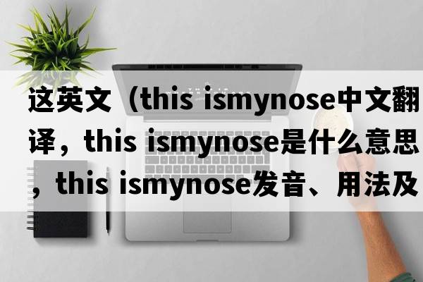 這英文（this ismynose中文翻譯，this ismynose是什么意思，this ismynose發(fā)音、用法及例句）