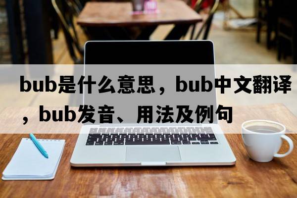 bub是什么意思，bub中文翻譯，bub發(fā)音、用法及例句