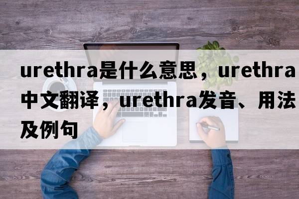 urethra是什么意思，urethra中文翻譯，urethra發(fā)音、用法及例句