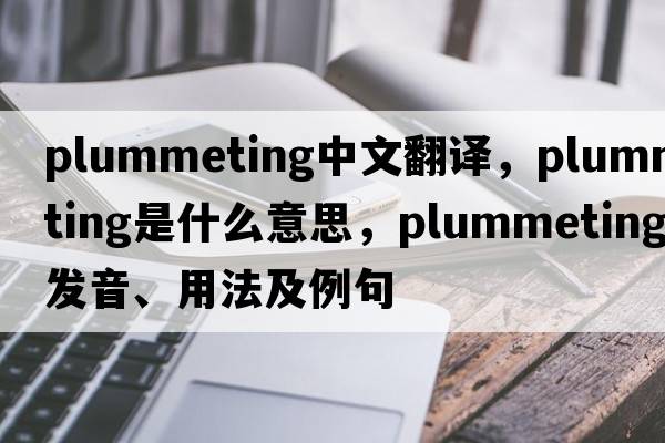 plummeting中文翻譯，plummeting是什么意思，plummeting發(fā)音、用法及例句