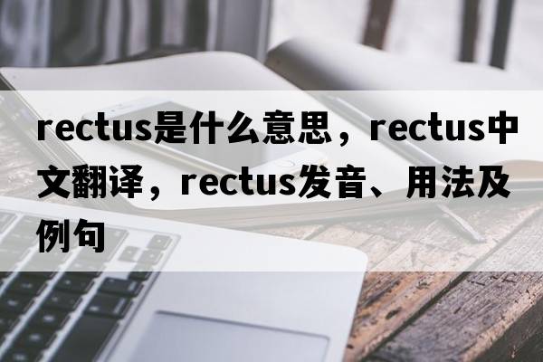 rectus是什么意思，rectus中文翻譯，rectus發(fā)音、用法及例句