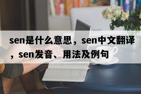 SEN是什么意思，SEN中文翻譯，SEN發(fā)音、用法及例句