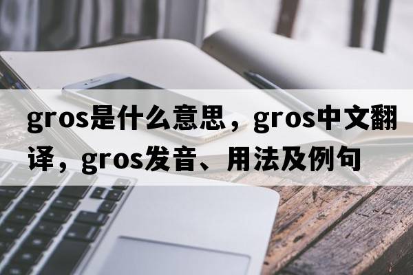 gros是什么意思，gros中文翻譯，gros發(fā)音、用法及例句
