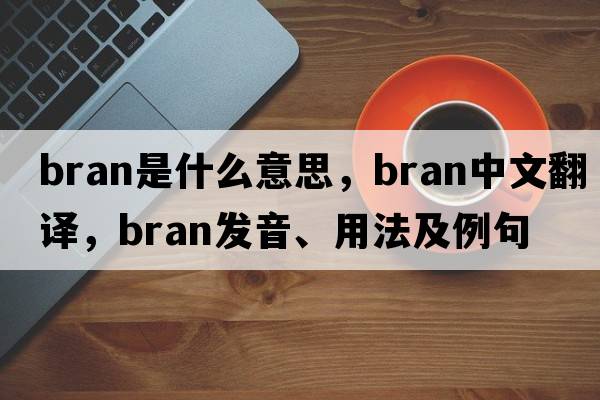 bran是什么意思，bran中文翻譯，bran發(fā)音、用法及例句
