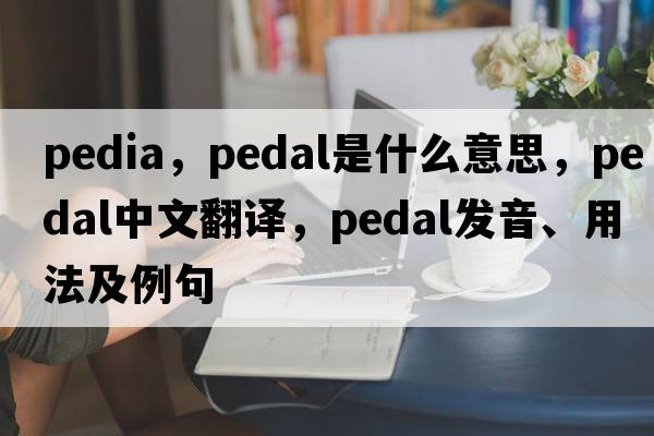 pedia，pedal是什么意思，pedal中文翻譯，pedal發(fā)音、用法及例句