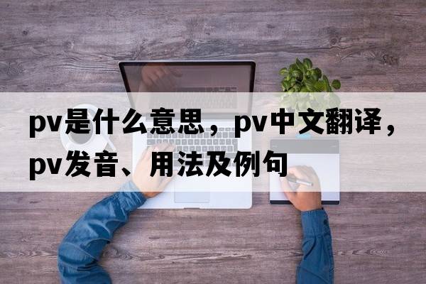pv是什么意思，pv中文翻譯，pv發(fā)音、用法及例句