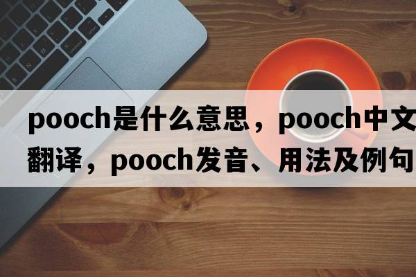 pooch是什么意思，pooch中文翻譯，pooch發(fā)音、用法及例句