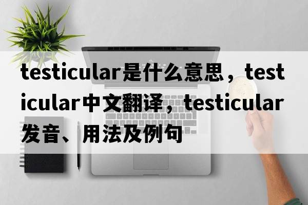testicular是什么意思，testicular中文翻譯，testicular發(fā)音、用法及例句