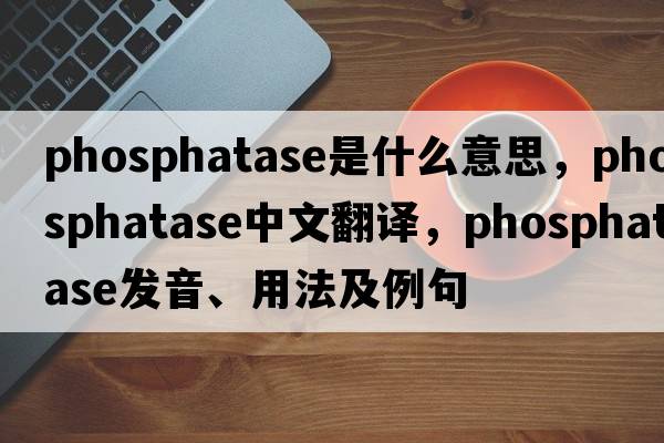 phosphatase是什么意思，phosphatase中文翻譯，phosphatase發(fā)音、用法及例句
